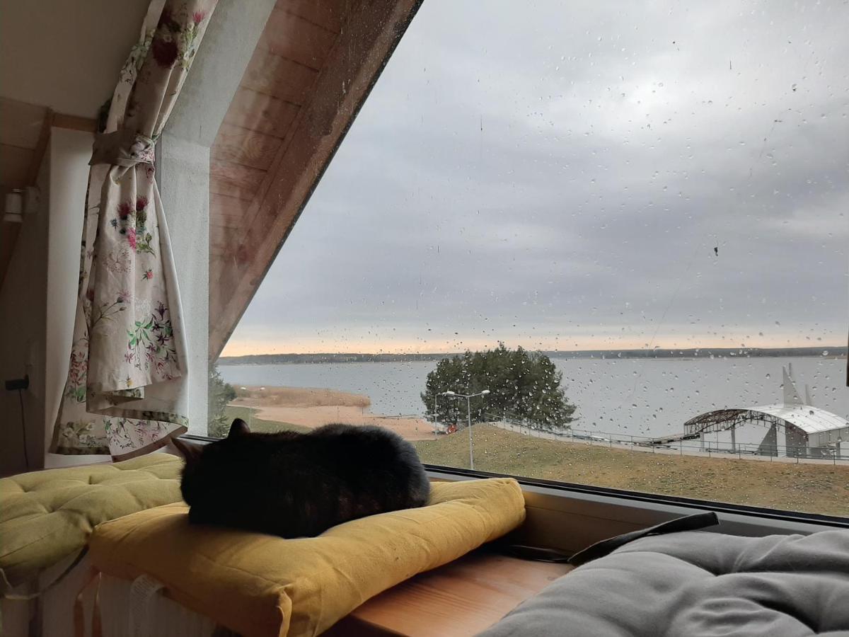 Zubr Nad Zalewem Appartement Luka Buitenkant foto
